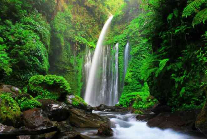 Wisata Air Terjun Keren di Lombok Ada Yang Bisa Bikin Awet Muda