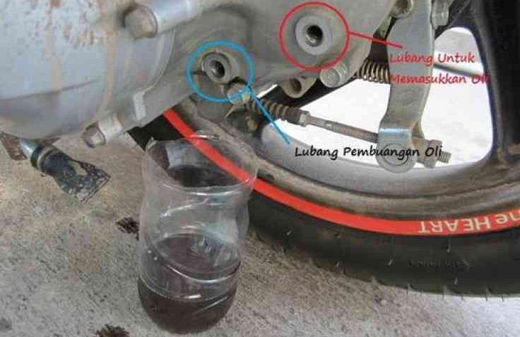 Cara Mudah Ganti Oli Gardan Motor Matic, Bisa Dikerjakan Sendiri