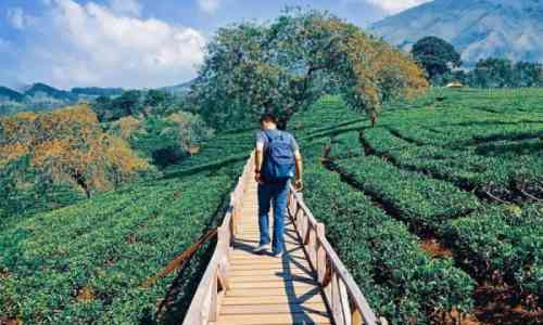 Daftar Tempat Wisata di Bandung yang Sudah Dibuka Kembali