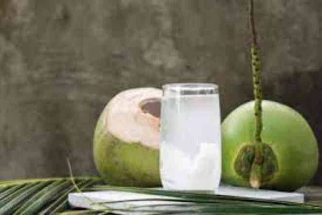 Minum Air Kelapa Cocok Saat Touring Bisa Kurangi Dehidrasi
