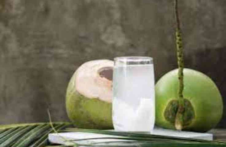 Minum Air Kelapa Cocok Saat Touring Bisa Kurangi Dehidrasi