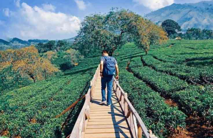 Tempat Wisata Asyik di Bogor Cocok Buat Liburan Bersama Keluarga