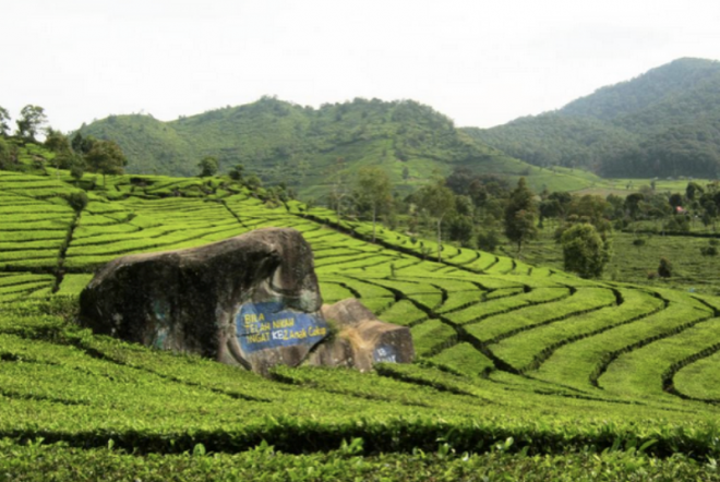 Rekomendasi Tempat Wisata di Kawasan Sentul Bogor,Cocok buat Liburan Akhir Pekan