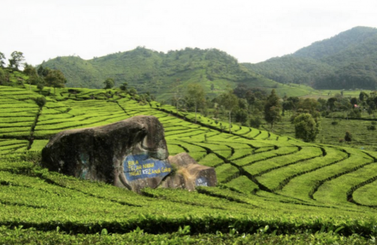 Rekomendasi Tempat Wisata di Kawasan Sentul Bogor,Cocok buat Liburan Akhir Pekan