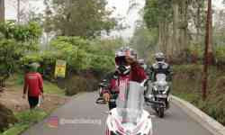 news-