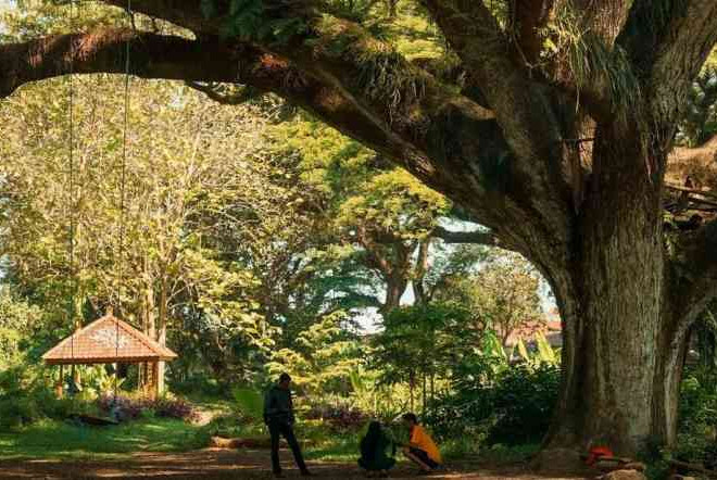 Lima Tempat Wisata Hits di Banyuwangi, Cocok Untuk Liburan Akhir Tahun