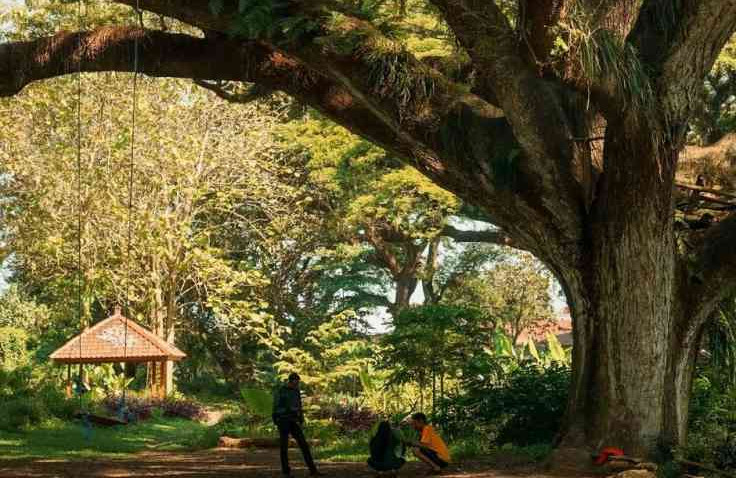 Lima Tempat Wisata Hits di Banyuwangi, Cocok Untuk Liburan Akhir Tahun